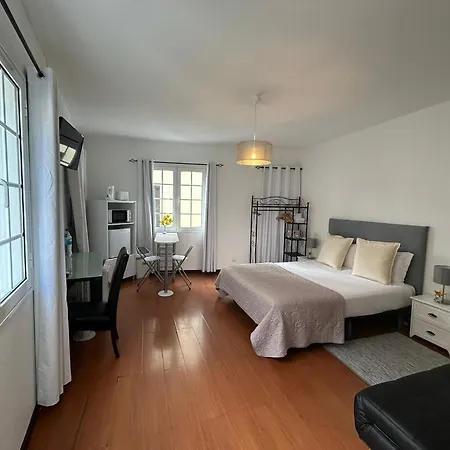 Palmar Funchal (Madeira)